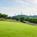 Ace Acreville Sector 22A Plots