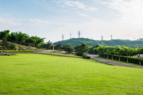 Ace Acreville Sector 22A Yamuna Expressway – Secure Gated Plots Ace Acreville Sector 22A Plots