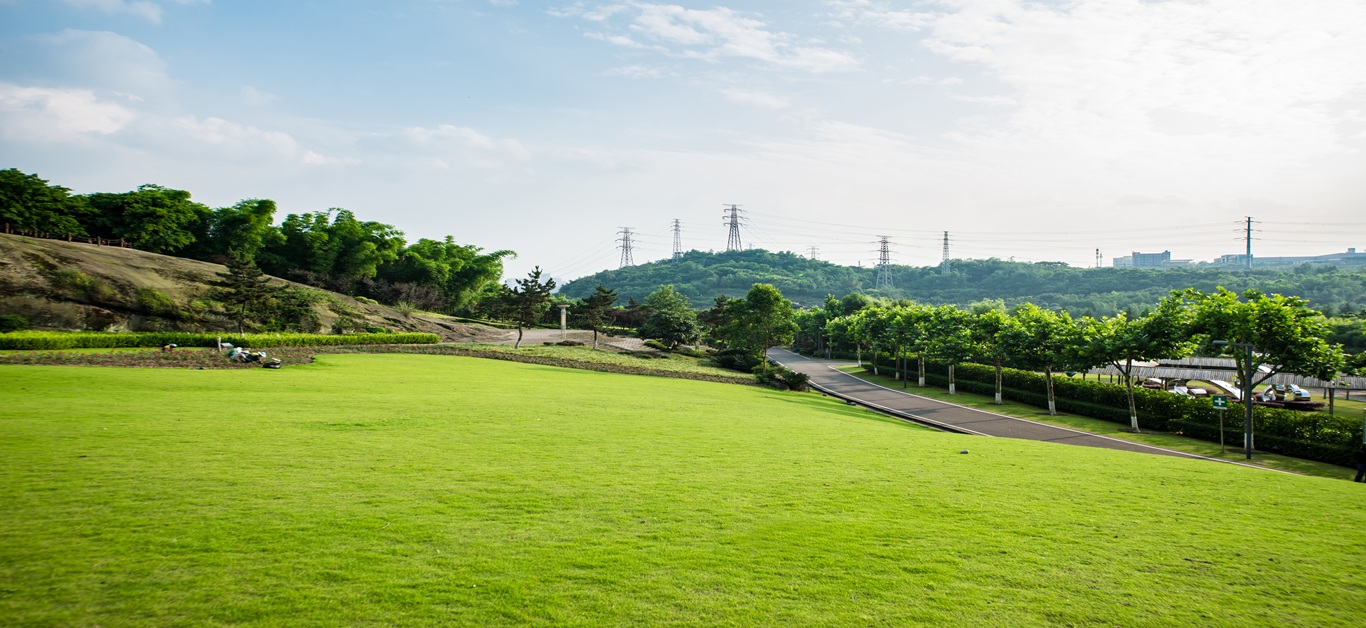 Ace Acreville Sector 22A Plots