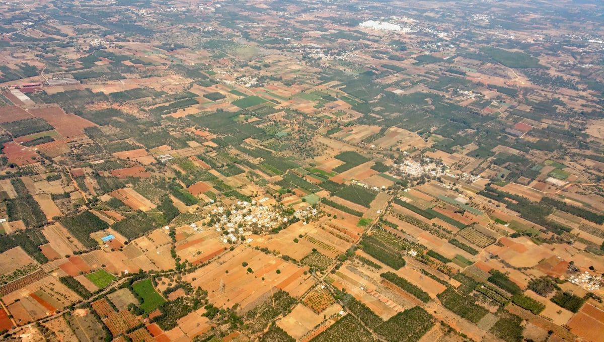 Neoliv Sonipat
