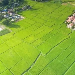 Krisala Destination One