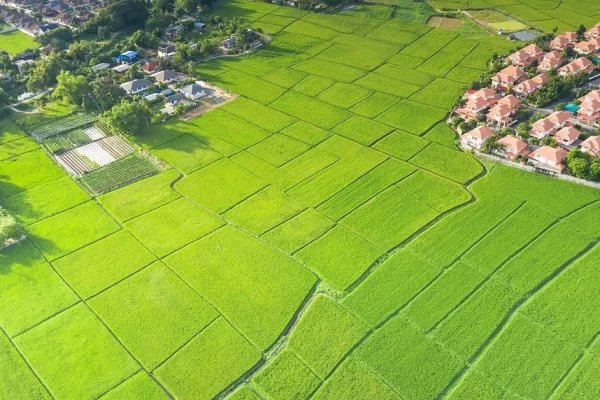 Krisala Destination One