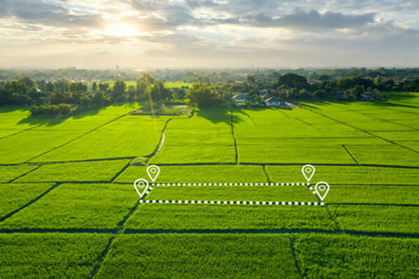 Century Plots Devanahalli