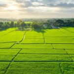 Godrej Plots Doddaballapur