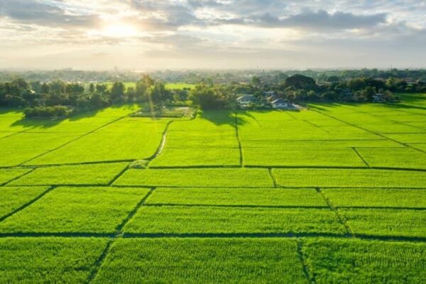 Godrej Plots Doddaballapur