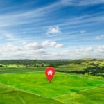 Prestige Autumn Leaves Plots