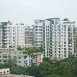 Total Environment Songs From The Wood