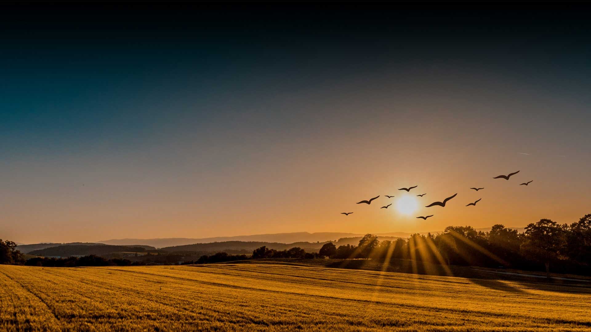 CKPC Upcoming Projects in Bangalore Banner Image