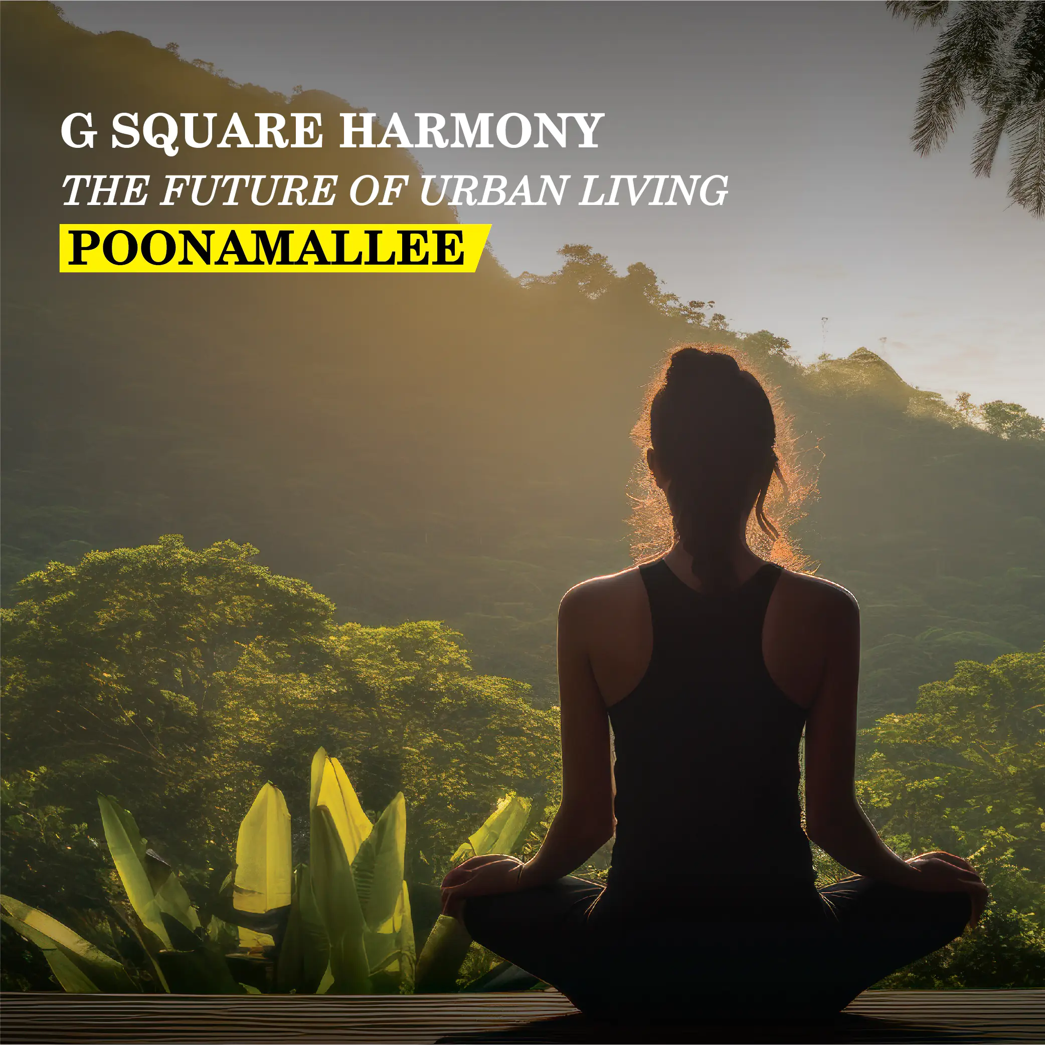 G Square Harmony