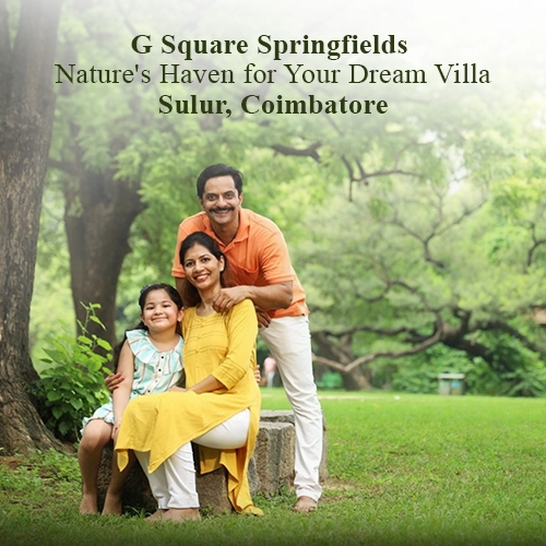 G Square Springfields